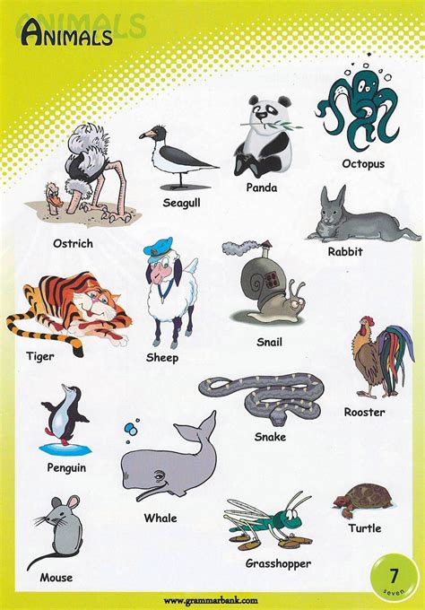 Animals Vocabulary For Kids