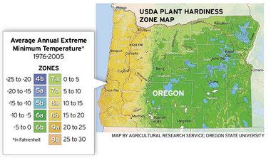 New plant hardiness zones reflect warming temperatures | OregonLive.com