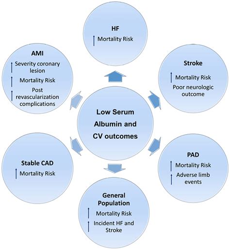 Hypoalbuminemia in cardiovascular diseases. Low levels of serum albumin... | Download Scientific ...