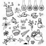 Spices Coloring Pages sketch template