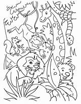 Jungle Coloring Pages Printable sketch template