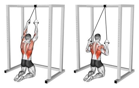 7 Best Lat Pulldown Variations (with Pictures!) - Inspire US