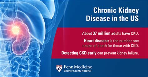 Chronic Kidney Disease: Causes Symptoms and Treatments - Chester County ...