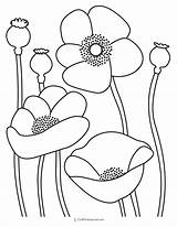 30 Flower Coloring Pages sketch template