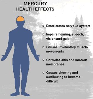 Biological Effects on Humans - Mercury Toxicity: Cause and Effect