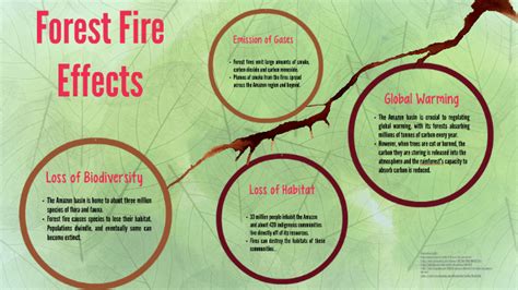 Forest Fire Effects by N. Diyanah on Prezi