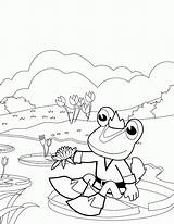 Free Coloring Pages Of A Frog In Pond  Home sketch template