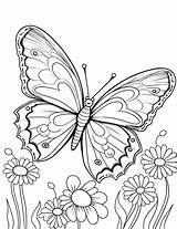 50 Butterfly Coloring Pages Free Printable Sheets sketch template