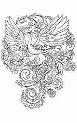 Peacock And Flowers sketch template