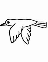 Crow Coloring Pages Free Printable PDF sketch template