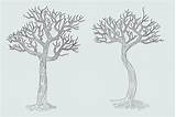 Leafless Tree Coloring Page sketch template