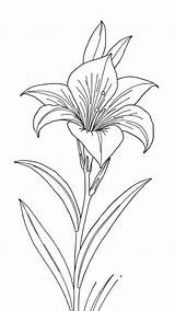 12 Free Printable Easter Lily Coloring Pages For Kids  Christian sketch template