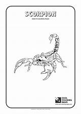 Free Printable Scorpion Coloring Pages sketch template