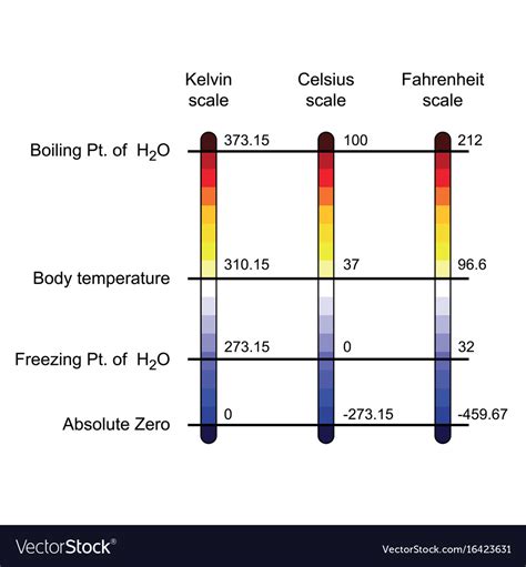 Comparison three temperature scales Royalty Free Vector