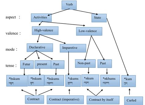 The 'morphology-function' diagram of classic Tibetan verbs (2 ...