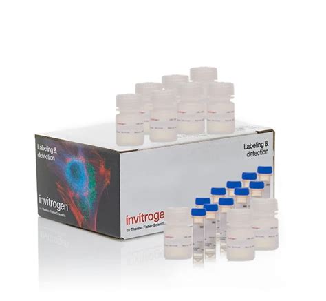 Invitrogen CyQUANT MTT Cell Viability Assay 1000 assays:Cell Analysis Products, | Fisher Scientific