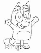 Bingo Coloring Page  Super Fun sketch template