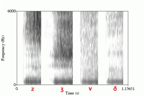 Identifying sounds in spectrograms