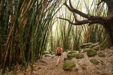 4 Best Hikes On The North Shore of Kauai, Hawaii