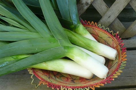 Grilled Leeks | Recipes from Nash's Organic Produce