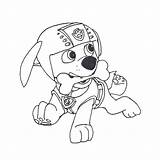 Coloring Page  Zuma Paw patrol Free Printable coloring Pages sketch template