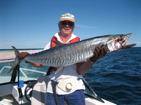 Spanish Mackerel in Western Australia | How to catch, where, vids, pics...