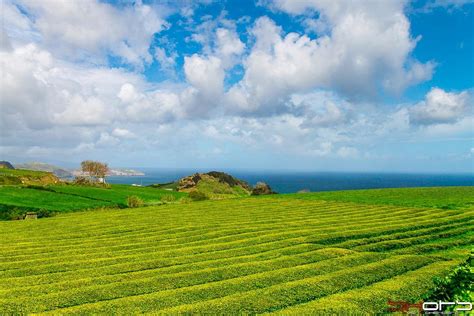 THE 15 BEST Things to Do in Azores - 2022 (with Photos) - Tripadvisor