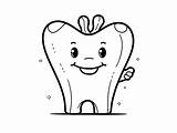 Adult Tooth Coloring Sheet  Page sketch template