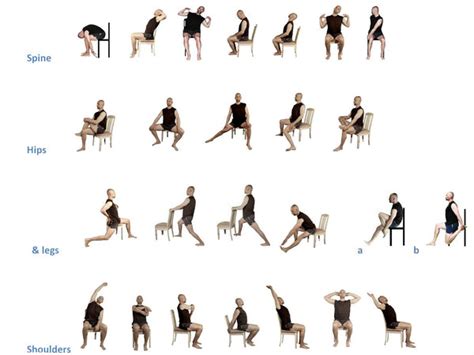 Exercises For Seniors: Easy Stretching Exercises For Seniors