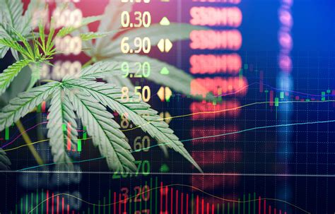 9 Cannabis Stocks Making Moves During an Explosive U.S. Election Week