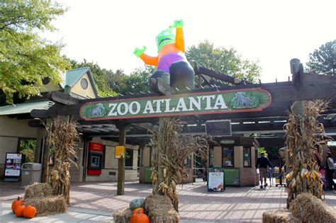 Visiting Zoo Atlanta - This Is My South