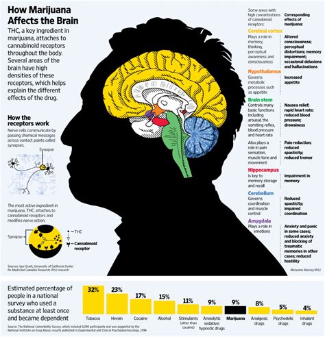 Marijuana’s influence on a male body - Abuse-Drug.com