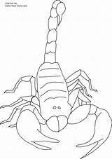Free Printable Scorpion Coloring Pages For Kids  Coloring sketch template