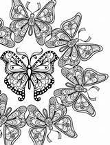 Butterfly Coloring Pages For Adults sketch template