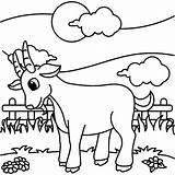33 Goat Coloring Pages  Free & Printable For Kids And Adults sketch template