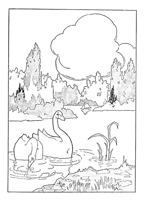 Baby Swan Coloring Pages