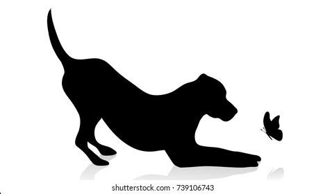 10,282 Labrador Retriever Silhouette Images, Stock Photos, 3D objects ...