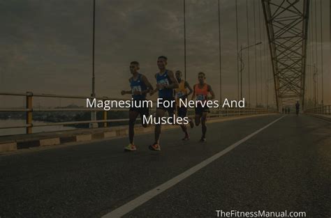 Magnesium For Nerves And Muscles - TheFitnessManual