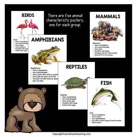 Amphibians Classification Chart | ubicaciondepersonas.cdmx.gob.mx