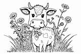 30  Calf Coloring Pages Free Printable PDF & Online sketch template
