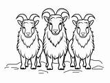 Three Billy Goats Gruff Coloring Page For Kids  Free Printable sketch template