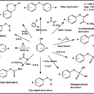 Synthesis of biorenewable polyester from vanillin and acetic anhydride ...