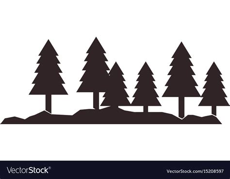 Silhouette pine tree forest natural landscape Vector Image