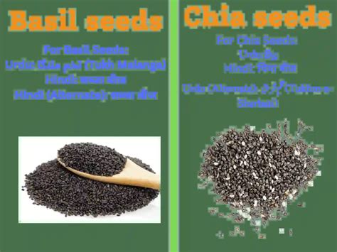 Chia Seeds in Urdu - Benefits, Types, Top 30+ Recipes