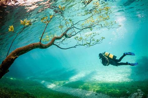 Grüner Lake: The Austrian Underwater Park