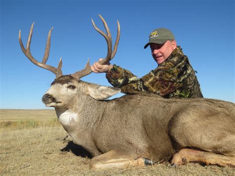 Fully Guided Trophy Mule Deer Hunts in Colorado | J&D Outfitters