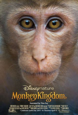 Monkey Kingdom: A Must-See For Nature Lovers Young and Old - Mrs. Weber's Neighborhood