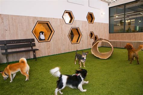 Indoor Dog Park, Indoor Pets, Pet Spa, Pet Resort, Gym Design, Parking Design, Dog Daycare, Dog ...