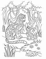 20  Jaguar Coloring Pages Free Printable PDF & Online sketch template