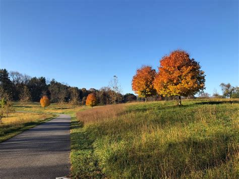 If There Are Only 3 Family Hikes You Do In Delaware, Follow These Trails